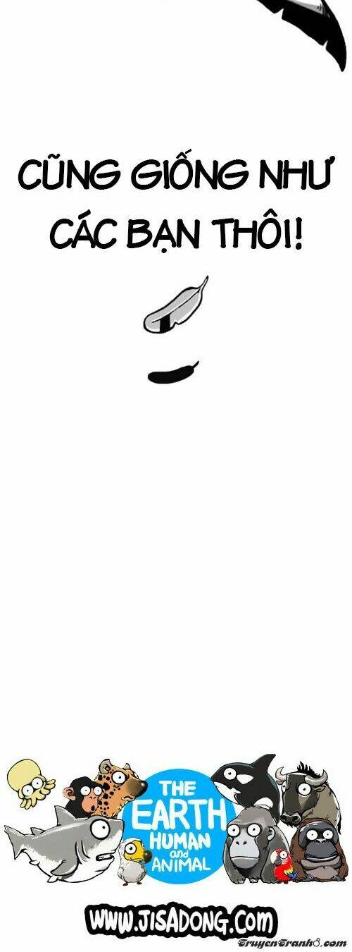 earth, human, and animal chapter 1 18