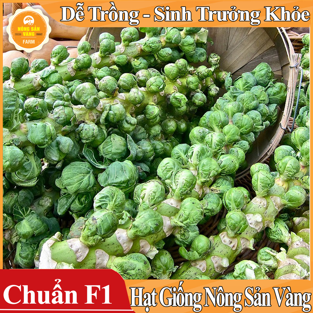 Hạt giống Bắp Cải Tí Hon Xanh - Nông Sản Vàng