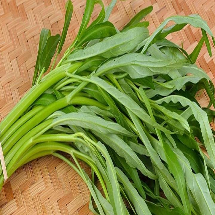 Hạt giống Rau muống lá tre sinh trưởng mạnh, năng suất cao (gói 50gr) - Hạt giống rau củ quả Conve Store