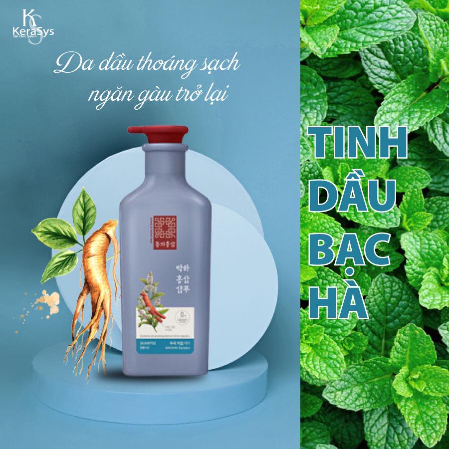 Dầu Gội Xả Ngăn Ngừa Gàu và Rụng Tóc Kerasys Peppermint Red Ginseng Hồng Sâm Bạc Hà 500ml tặng móc khóa