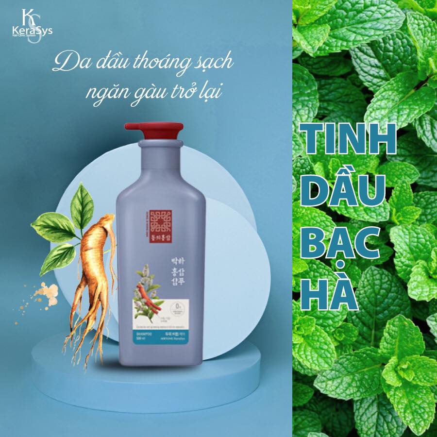 Dầu Gội Xả Ngăn Ngừa Gàu và Rụng Tóc Kerasys Peppermint Red Ginseng Hồng Sâm Bạc Hà  500ml tặng móc khóa