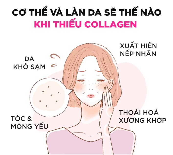 Viên uống làm đẹp da Collagen DHC Nhật Bản Hỗ trợ đẹp da