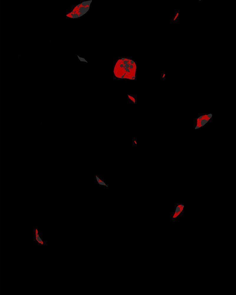 tử thần chapter 1 15