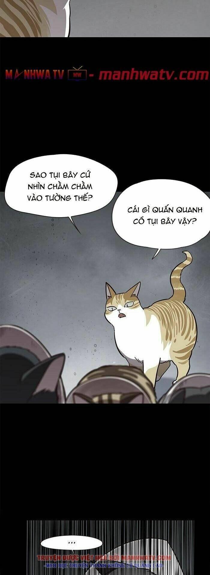 biến thân thành mèo chapter 56 5