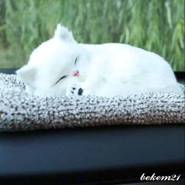 -Bán thú bông than hoạt tính - mèo trắng Siêu rẻ,sở hữu thể kêu meomeo-MÈO TRẮNG DỄ THƯƠNG dòng to 28CM X 21C
