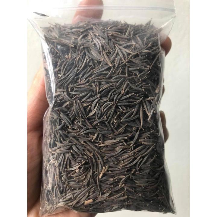 Hạt giống hoa cúc sao nhái mix màu CT38 - Gói 50 hạt