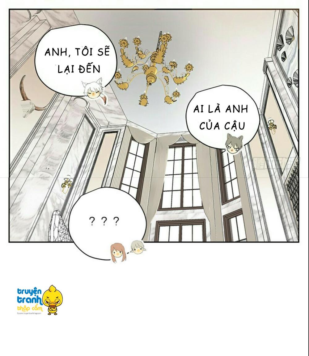 cứu mạng ! loài mèo thống trị thế giới rồi ! chapter 32 16