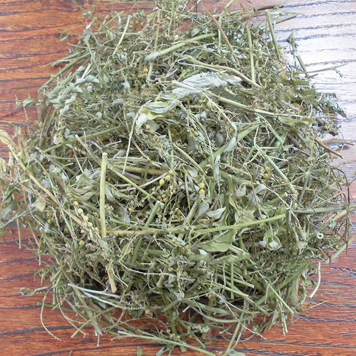 Cây chó đẻ - Diệp hạ châu - Khô 500gr