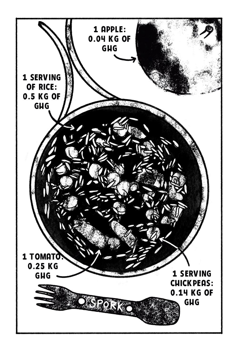 Sách - Outdoor Minimalist : Waste Less Hiking, Backpacking an by Meg Carney Savannah Cuthbertson