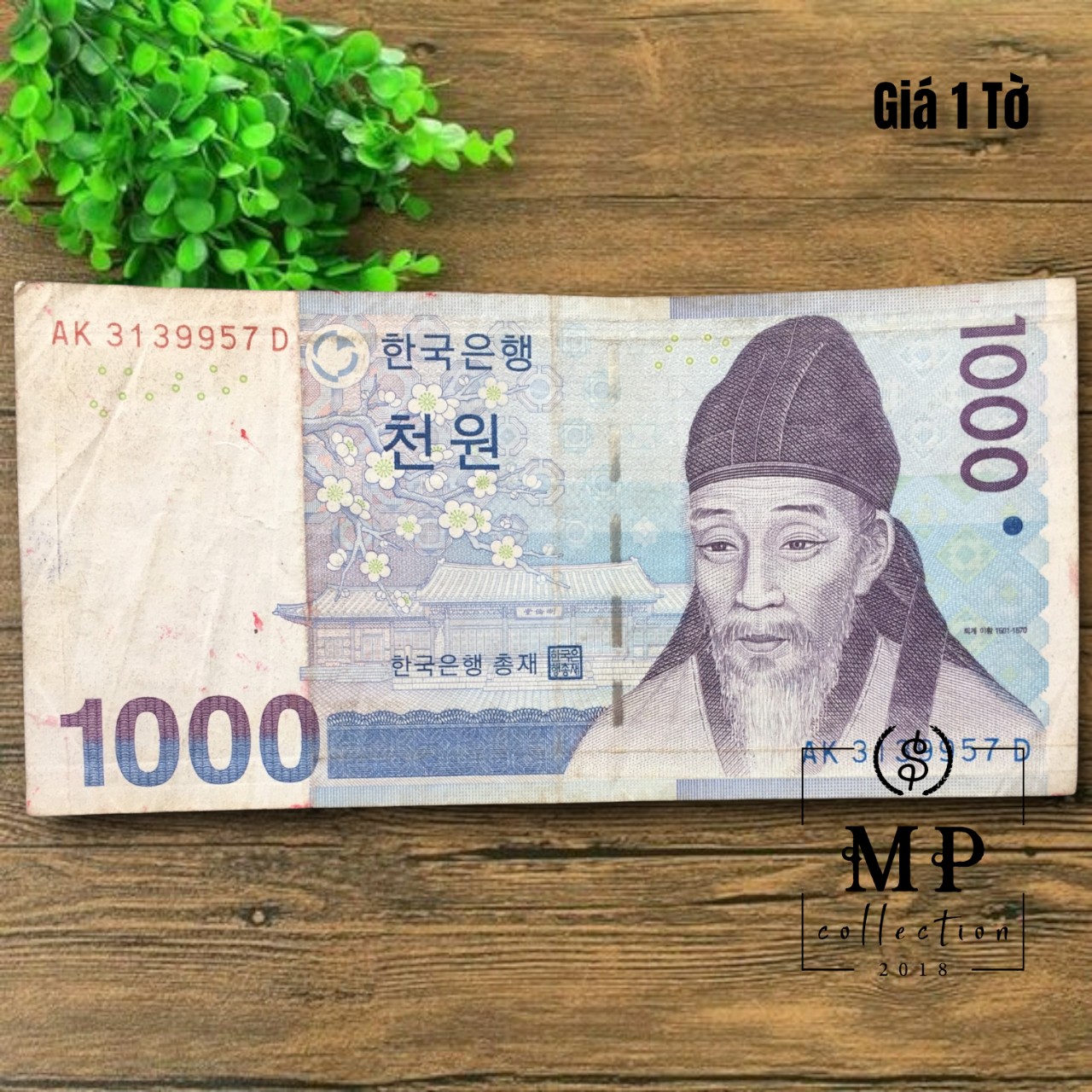 Tờ tiền Hàn Quốc mệnh giá 1000 won Cũ - Tặng túi nilon bảo quản Hàng chuẩn thật