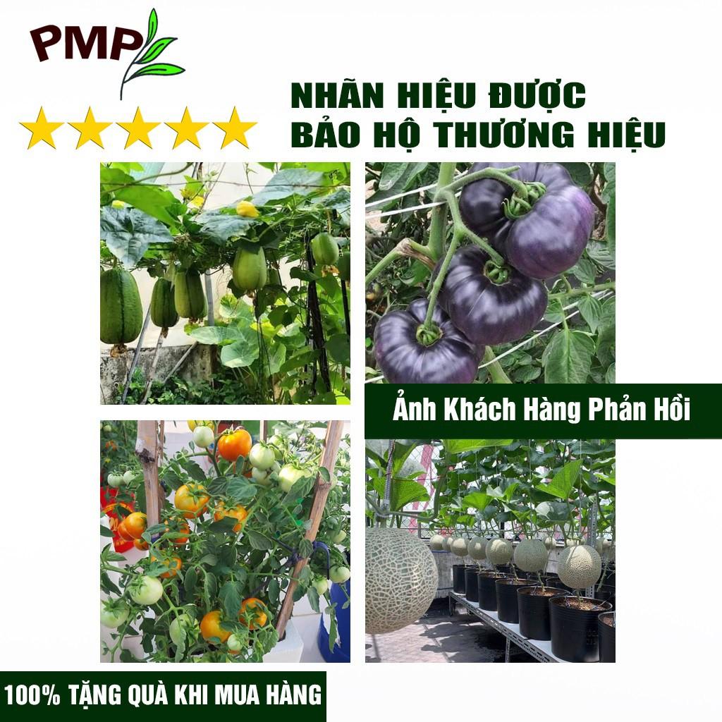 Combo 2 Chai Phân SOYMIC V PMP Siêu Phân Bón Ủ Vi Sinh Từ Đậu Nành, Trứng, Chuối, Humic, Vi Lượng Cho Rau Sạch