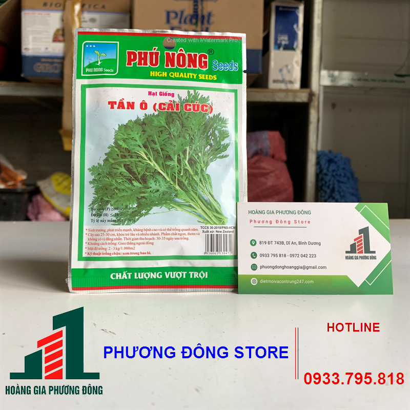 Combo 5-10 gói hạt giống rau tần ô chịu nhiệt , giá rẻ