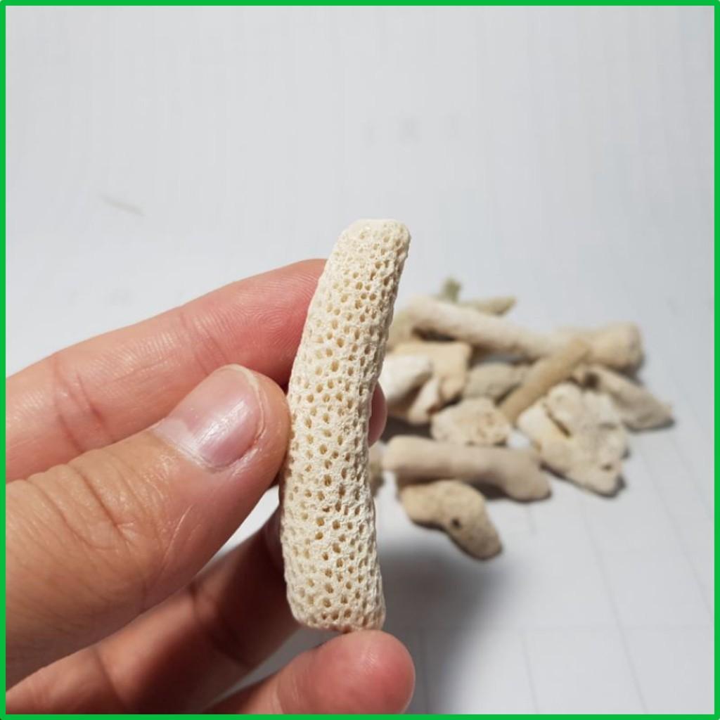 San Hô Vụn | Vật liệu lọc san hô vụn cao cấp khối lượng 100Gr