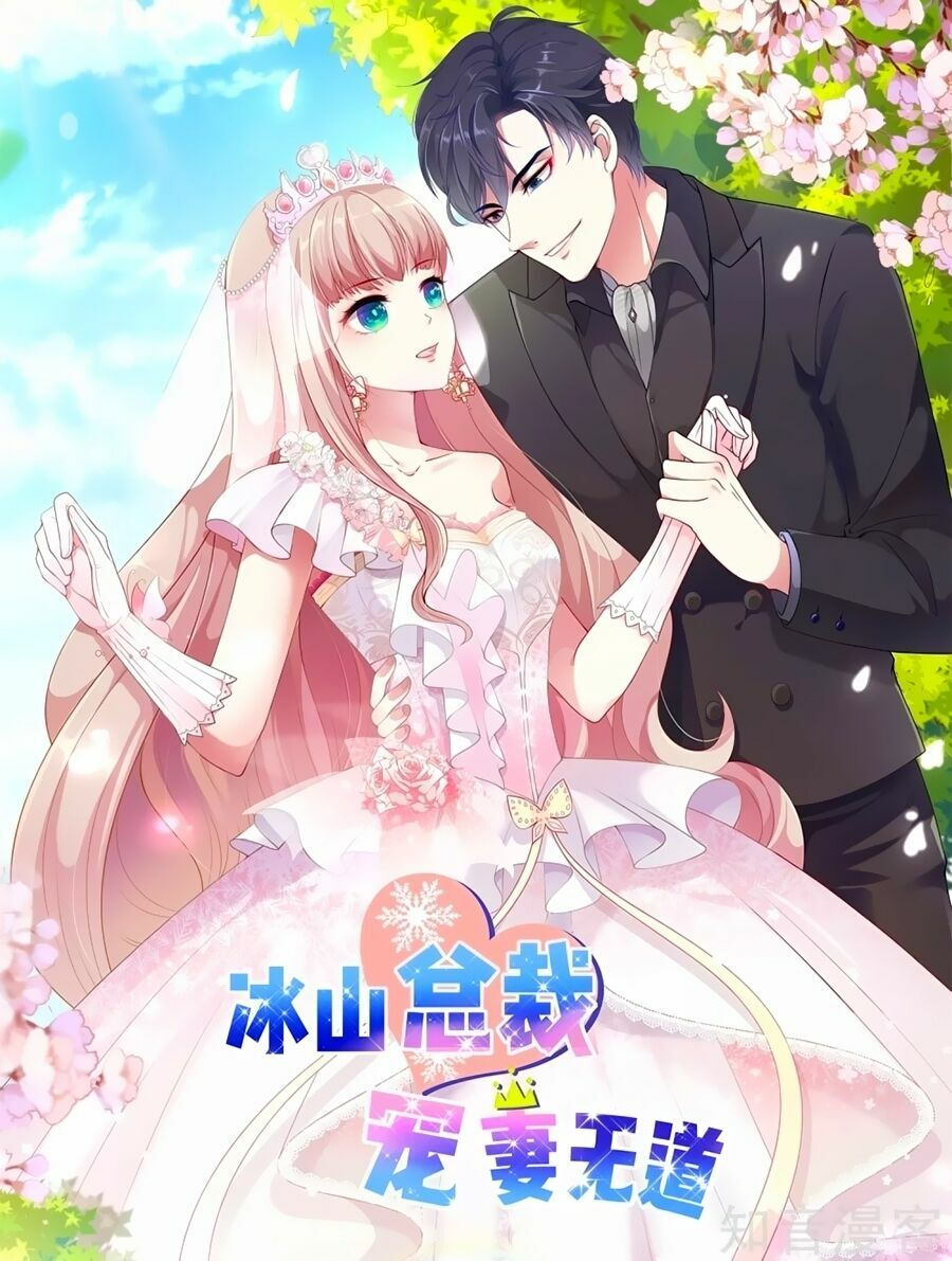 băng sơn tổng tài sủng thê đến vô đạo chapter 0 1