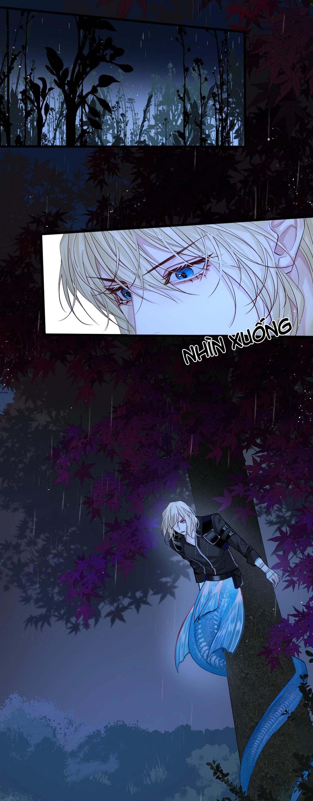 nhân ngư sa ngã chapter 29 4