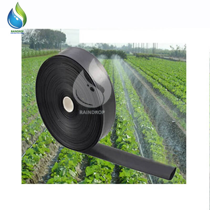 DÂY TƯỚI PHUN MƯA 5 LÔC CHÉO PHI 34