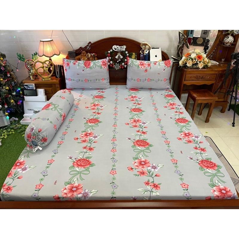 Drap thun hàn quốc