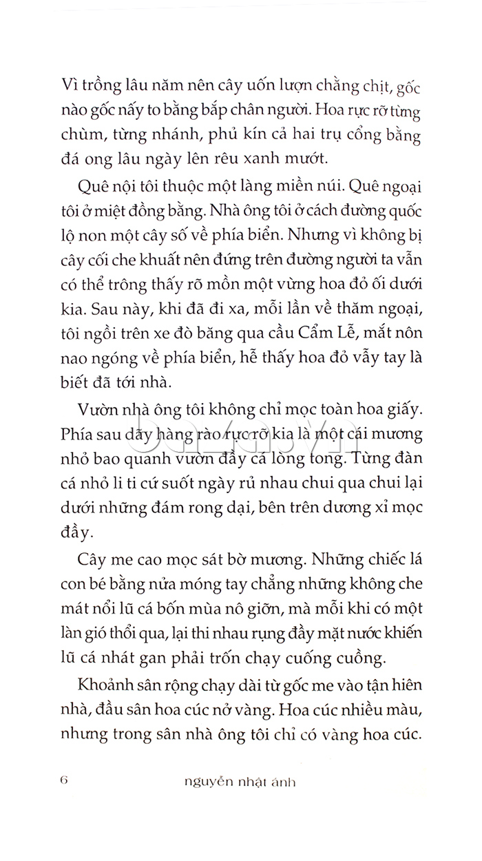 Đi qua hoa cúc - NNA