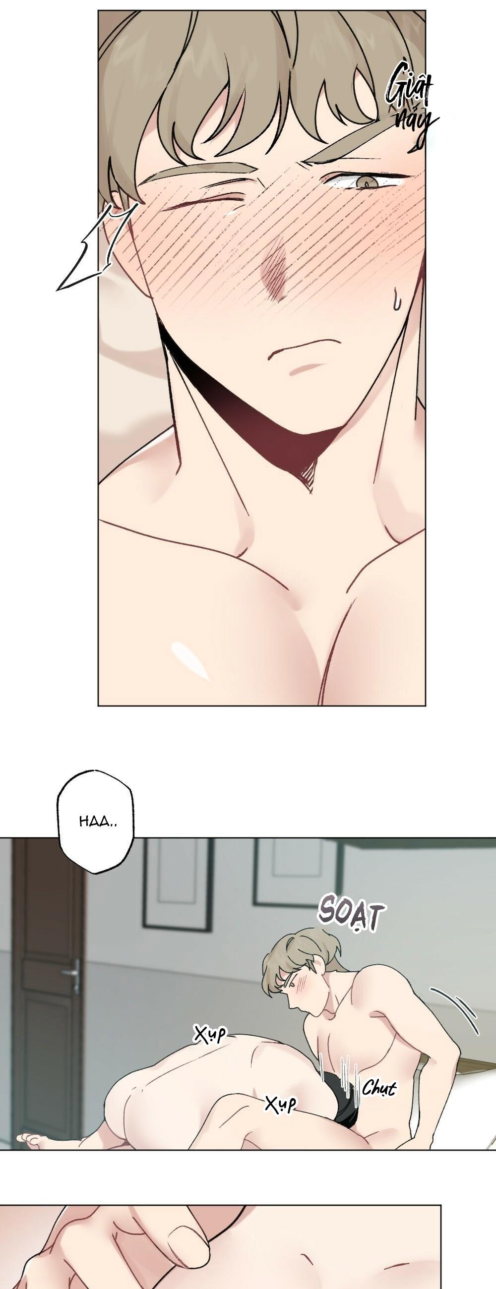 chăm sóc chapter 31 32