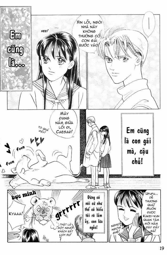 wild cats chapter 1 22