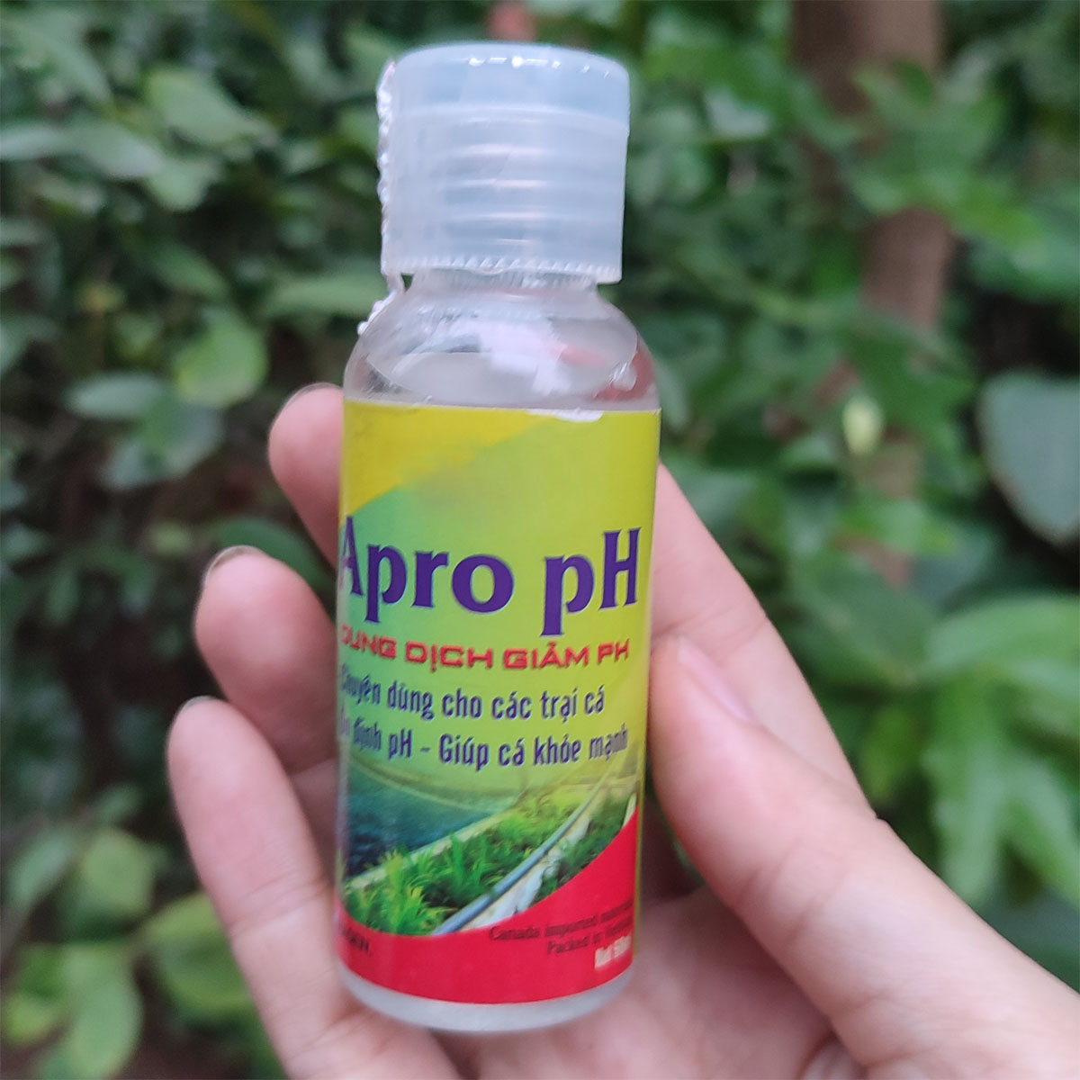 AQUA PRO dung dịch giảm PH hồ cá thủy sinh 50ML