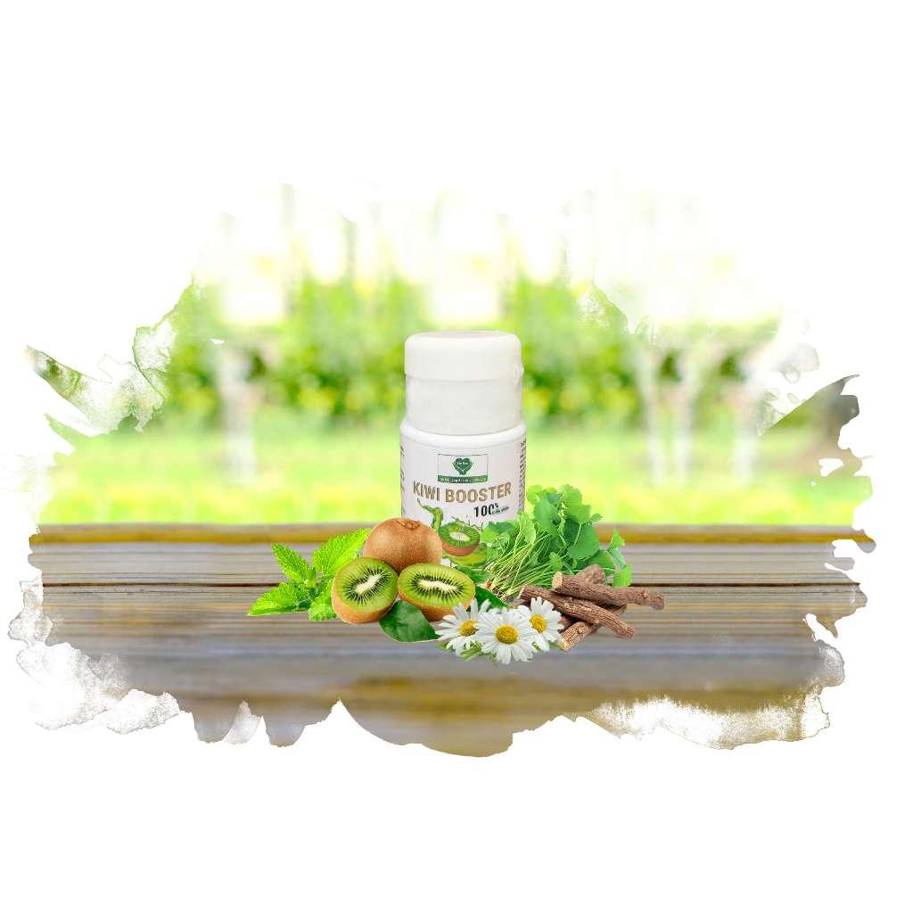 Kiwi Booster Mẹ Ken 100ml