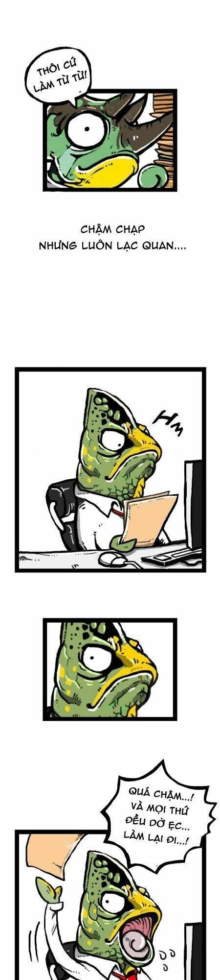 earth, human, and animal chapter 19 22