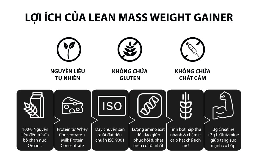 NorTech Lean Mass Gainer, Sữa Tăng Cân, Tăng Cơ Nạc Hiệu Quả, Bổ Sung 69G Protein, 27G EAA, 15G BCAA, 3G Creatine, 3G L-Glutamine, Thùng 7KG, 27 Lần Dùng