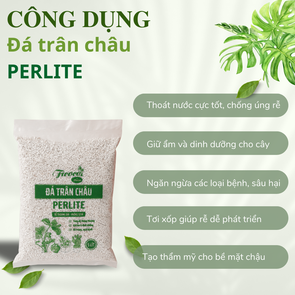 Đá perlite, giá thể giàu khoáng chất, trồng hồng, sen đá, tăng độ tươi xốp, thoát nước tốt, túi 600g