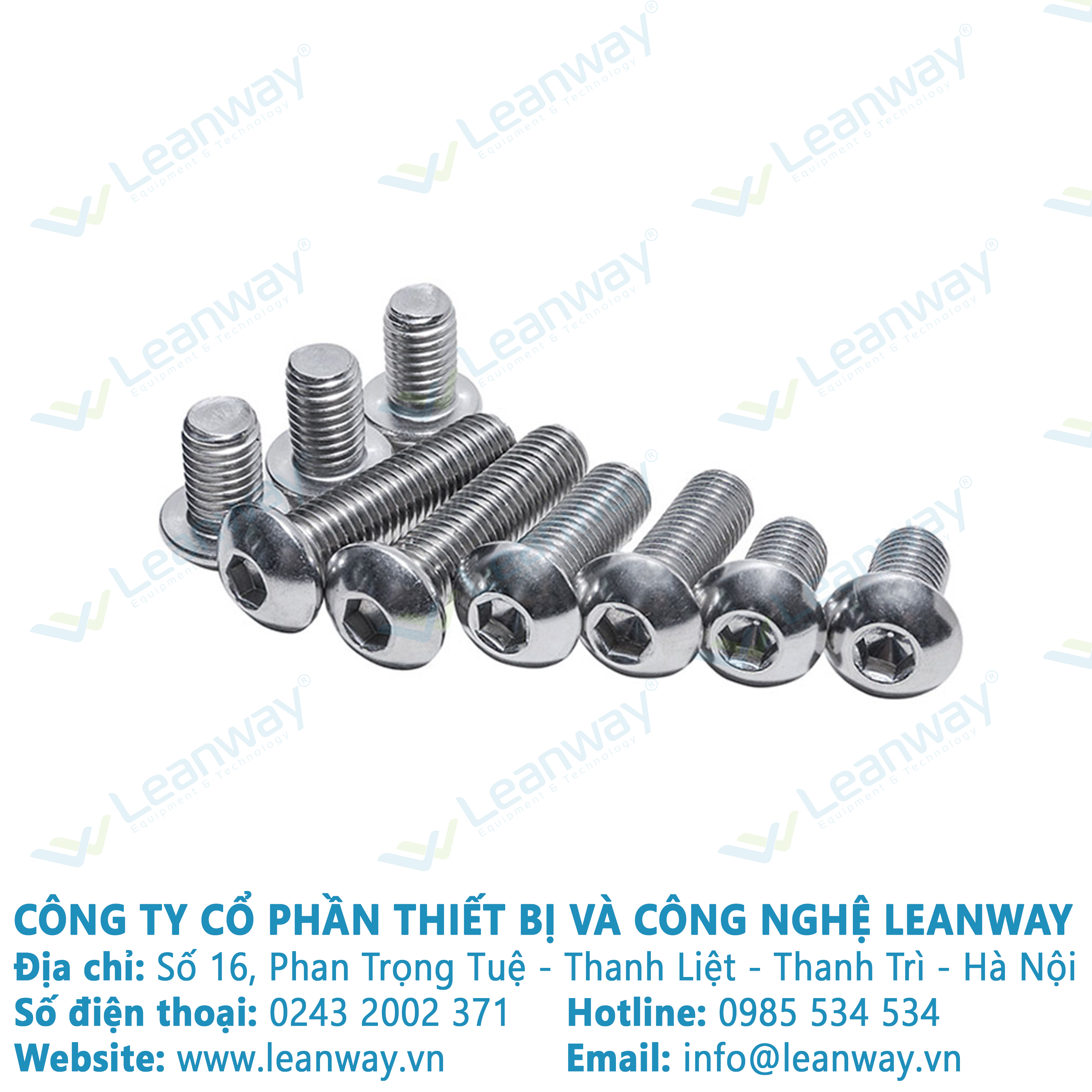 10 con Bulong đầu cầu inox 201