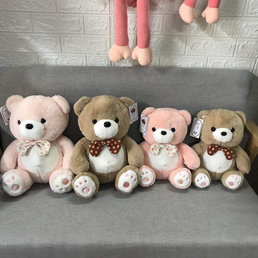 Gấu Teddy nơ chấm bi dáng ngồi cao cấp mềm mịn