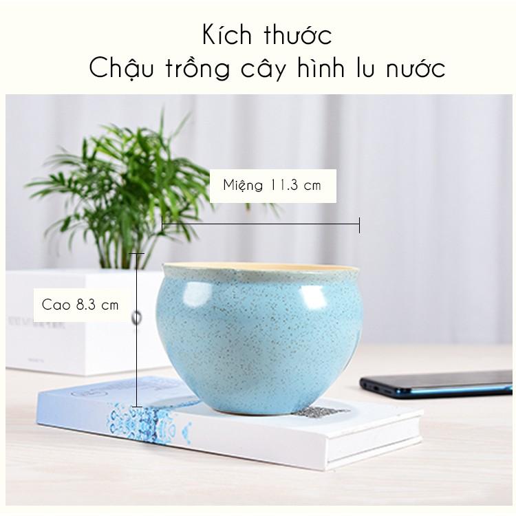 Chậu trồng cây hình lu nước, chậu sứ hình chum trồng cây văn phòng, cây để bàn đẹp, gốm sứ Trung Quốc chất lượng cao