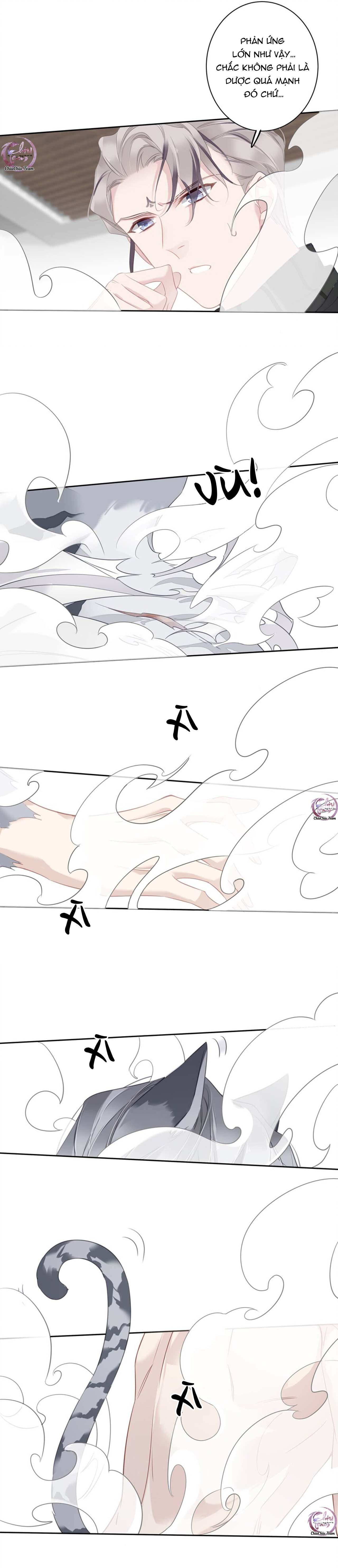 cuộc mai mối vượt giống loài chapter 55 9