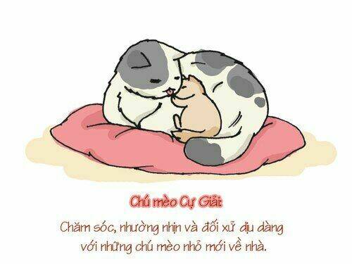 12 cung hoàng đạo vui chapter 22 8