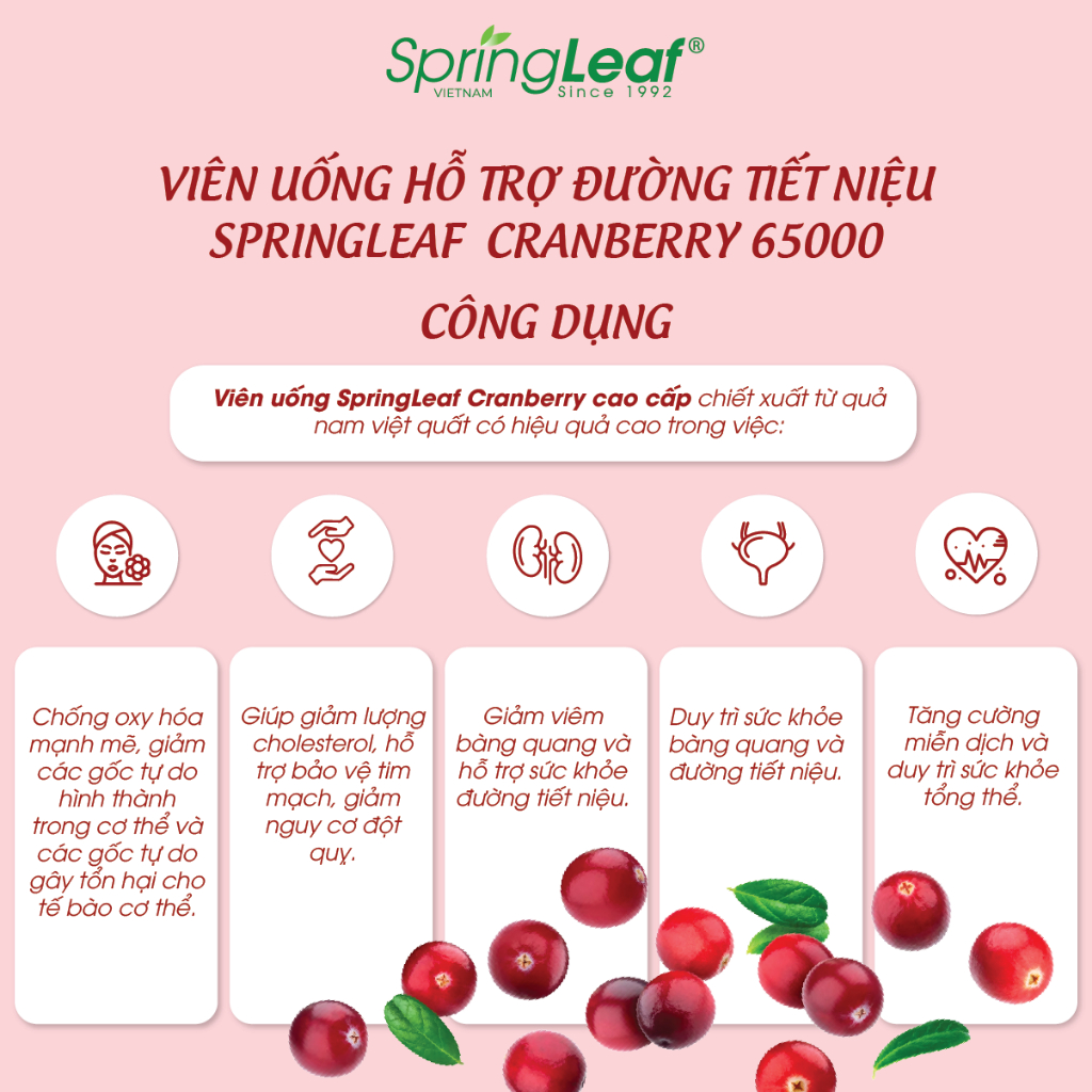 Viên uống đường tiết niệu SpringLeaf Cranberry 65000mg 30 viên cải thiện sức khỏe tim mạch, sức khỏe đường tiết niệu, chống oxy hóa