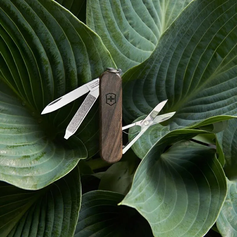 Dao đa năng VICTORINOX Classic SD wood 0.6221.63  (58 mm) – Hãng phân phối chính thức