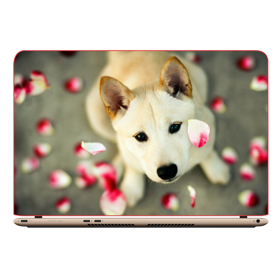 Mẫu Skin Dán Trang Trí Decal Laptop Animal DCLTDV 002