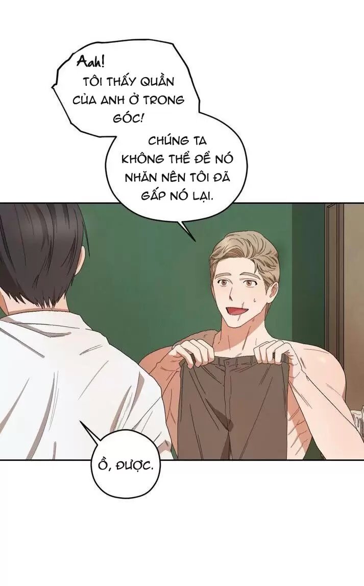 liveta chapter 20 24