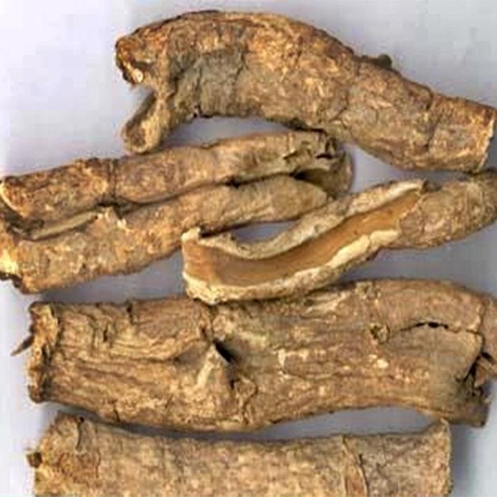 01Kg Ngũ Gia Bì Khô 981SP