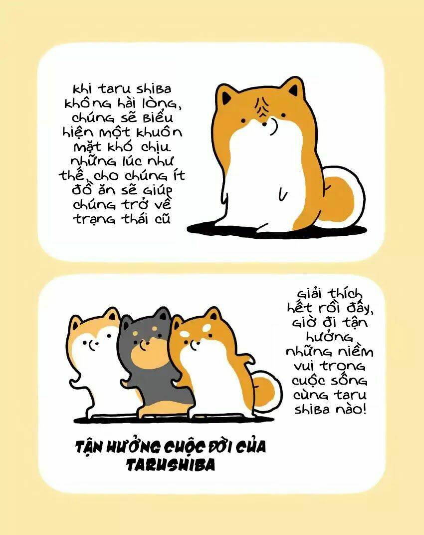 taru shiba chapter 1 9