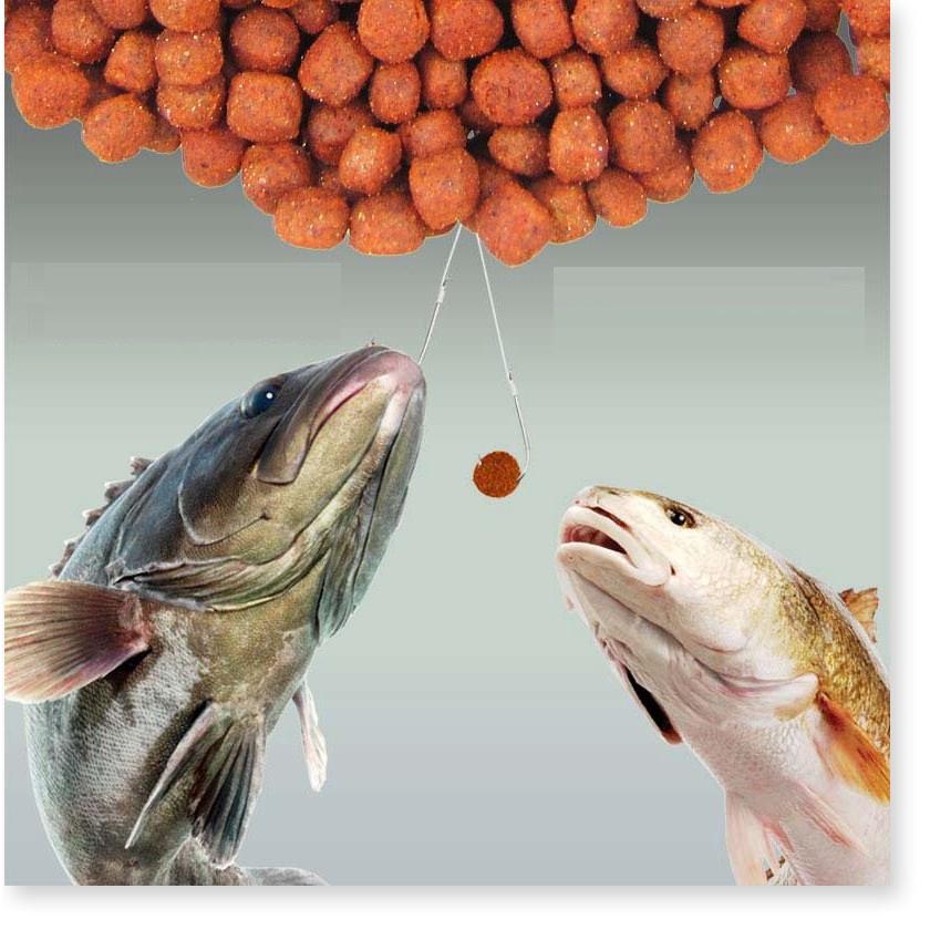 Mồi Câu Cá môi hạt Chuyên Chép, Trôi, Trắm, Rô Phi câu  đơn đài câu lục chất lượng giá rẻ