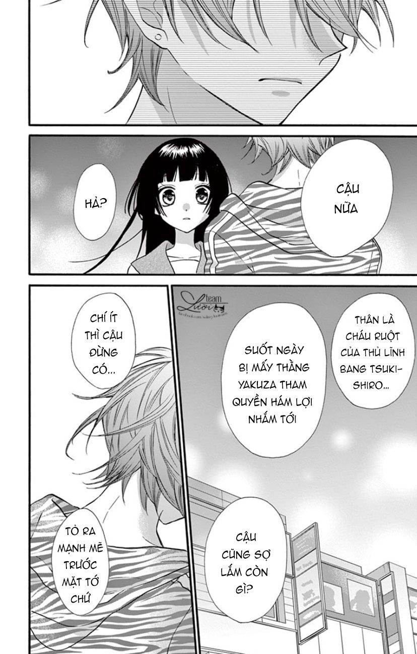 chàng rể giả nhân giả nghĩa chapter 16 25