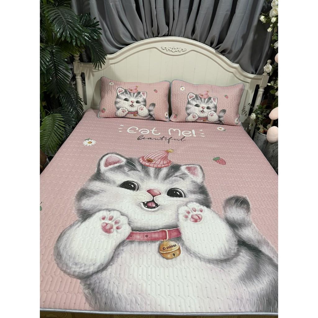 Chiếu Điều Hòa Cao Su Non 5D Hàng Loại 1 Có Sẵn Size 1m8*2m
