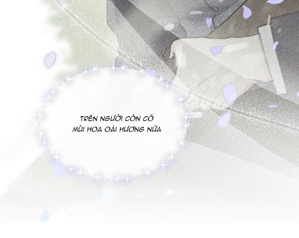 đi tìm nàng camellia chapter 25.1 48