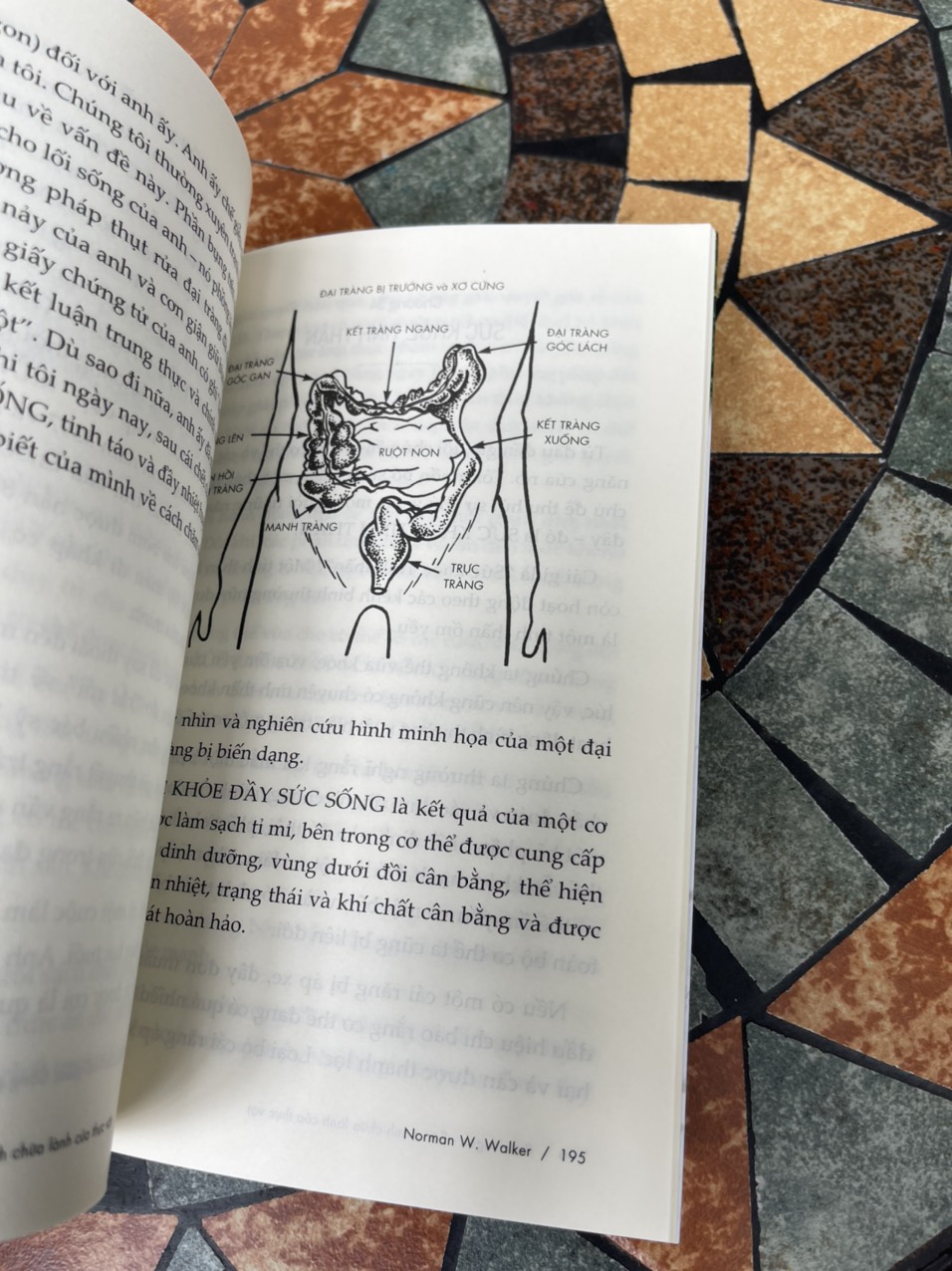 RAW VEGAN – Sức mạnh chữa lành của thực vật – Norman W. Walker – Lê Nhung dịch – SKY Books – AZ Vietnam – NXB Thế Giới