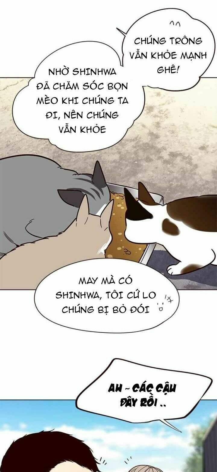 biến thân thành mèo chapter 100 11