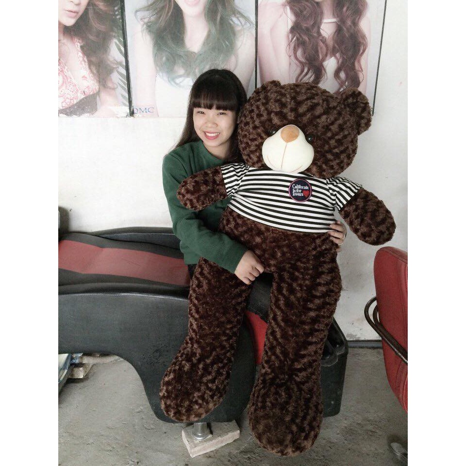 Gấu bông Teddy khổ vải 1m