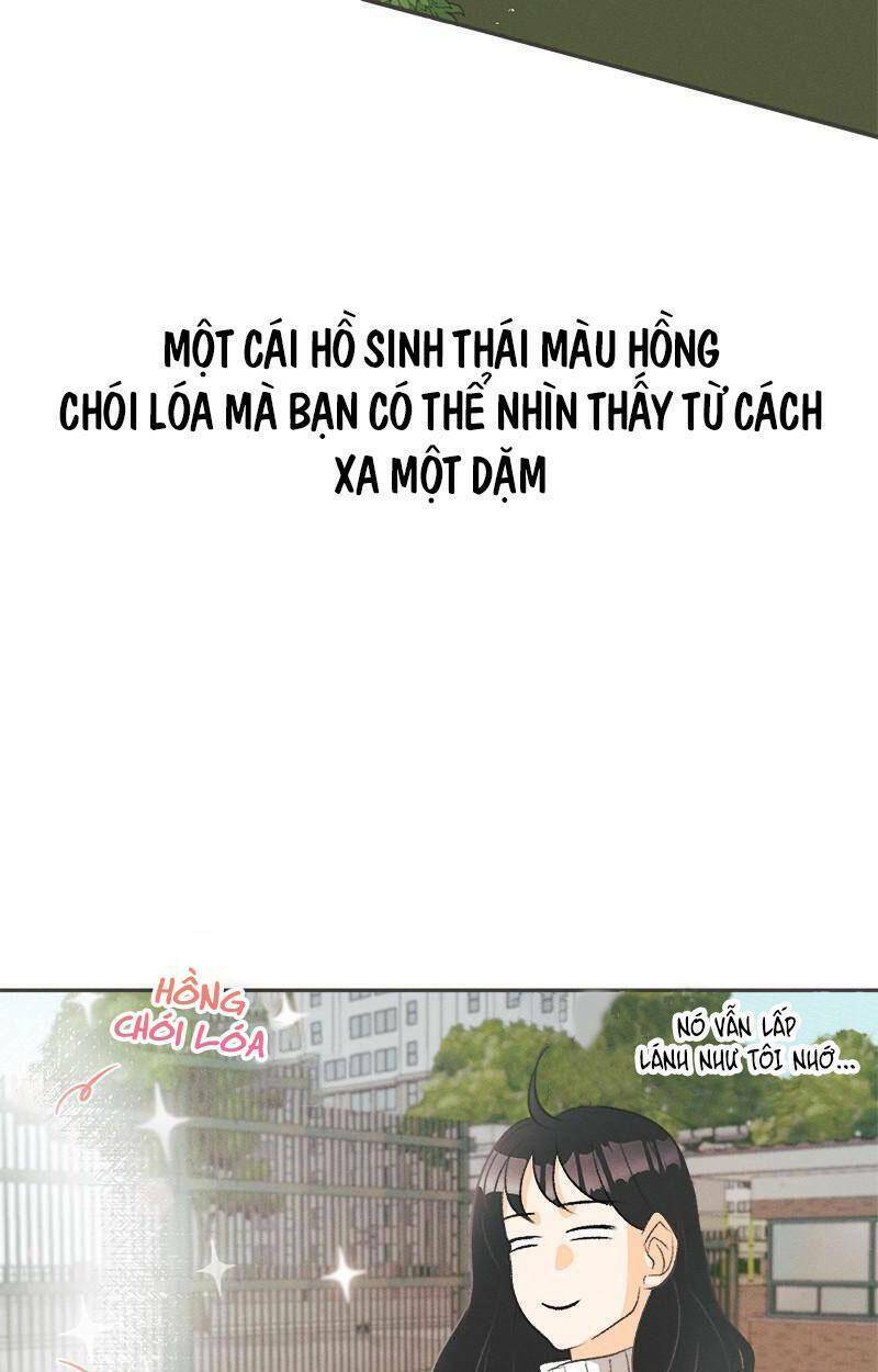 giấc mộng đêm hè chapter 1.1 26