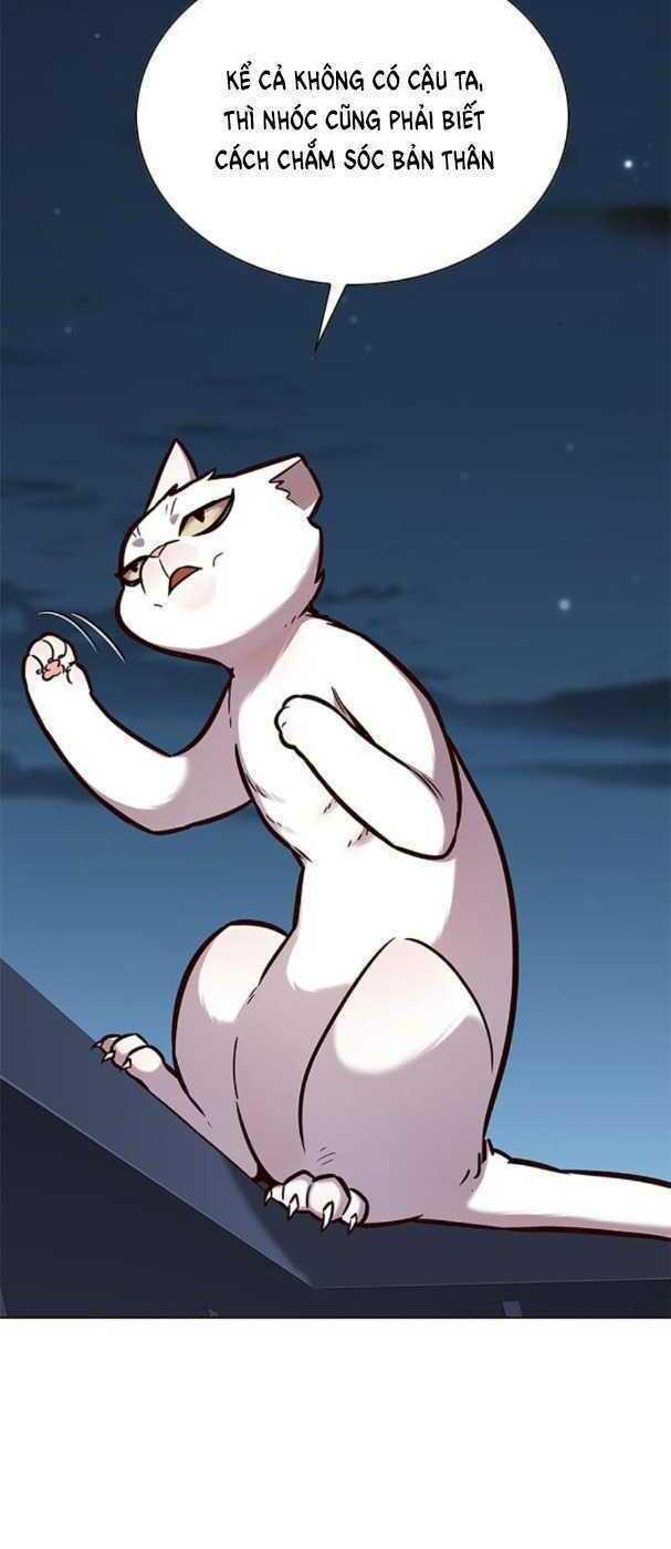 biến thân thành mèo chapter 169 41