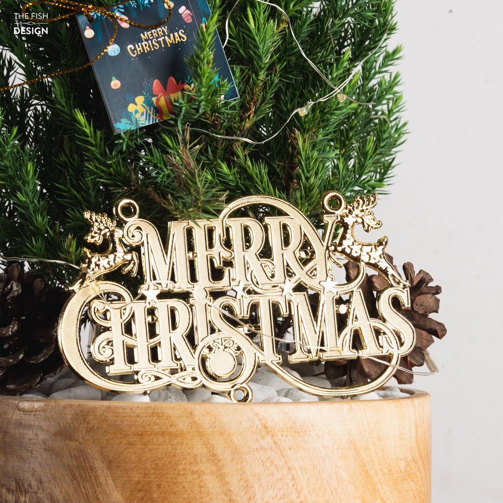 Cây tùng thông NOEL | THE FISH DESIGN SIZE LS